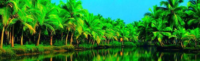 Chaandhni Lake View Hotel Alappuzha Екстериор снимка